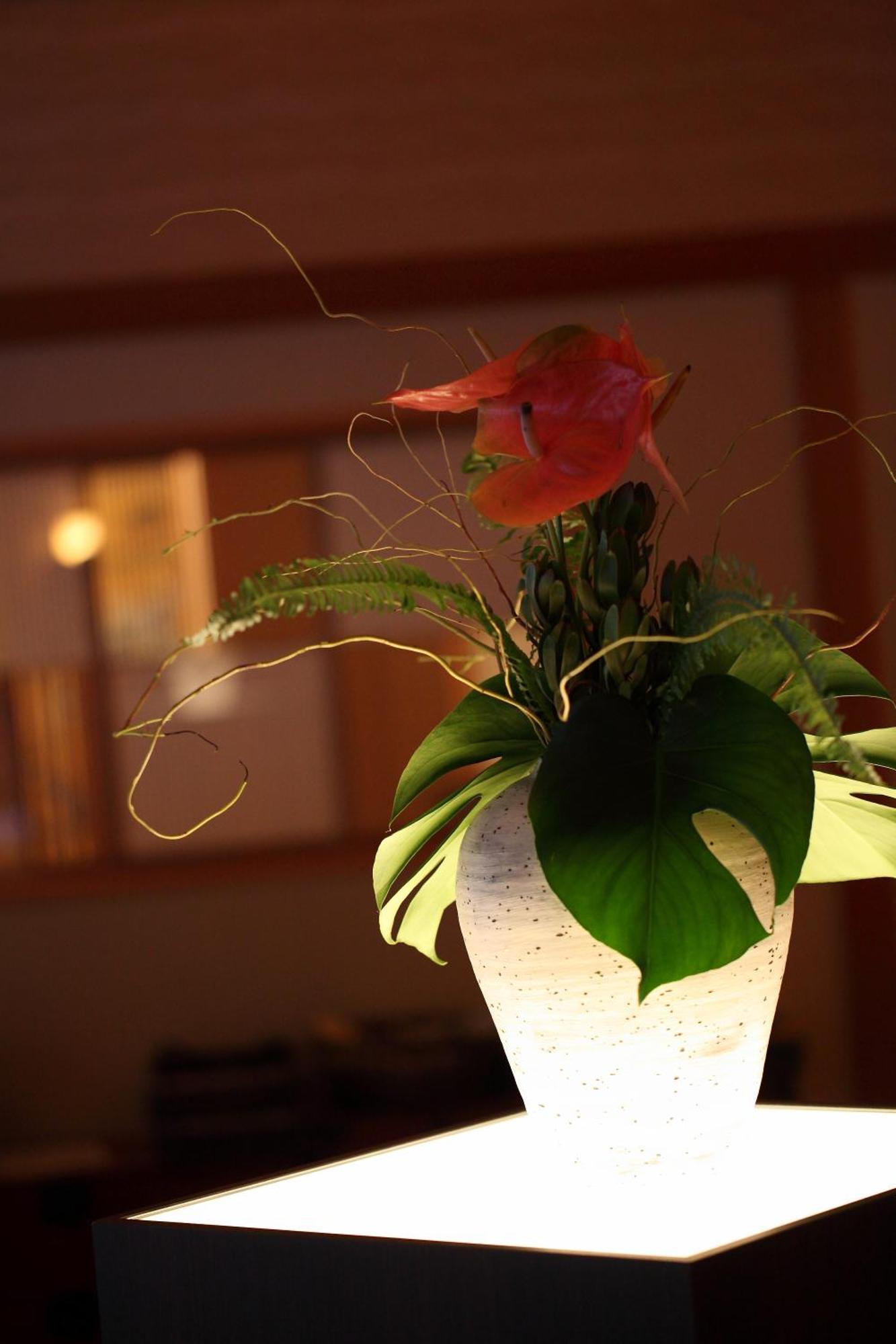 Kameoka Kyo Yunohana Resort Suisen מראה חיצוני תמונה